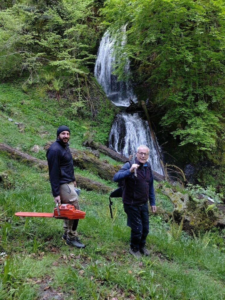 IMG 20260517 WA0002