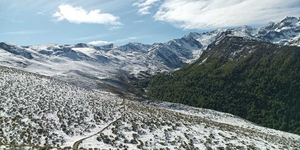 IMG 20260517 094449 932